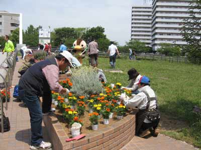 IMG_3681.jpg