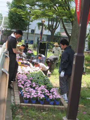 IMG_3682.jpg