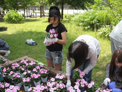 IMG_3704.jpg