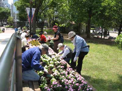IMG_3712.jpg
