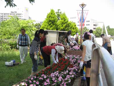 IMG_3715.jpg
