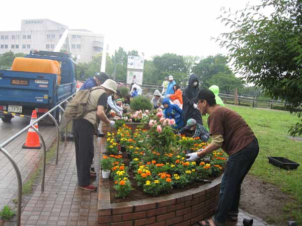 IMG_8650.jpg