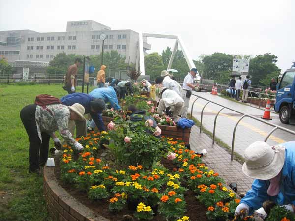 IMG_8671.jpg