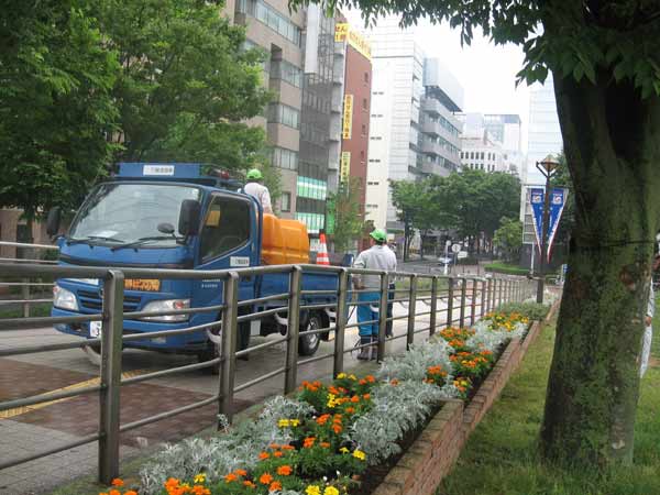IMG_8691.jpg
