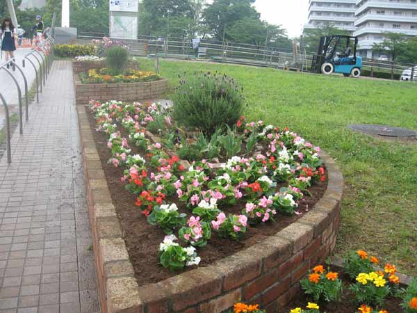 IMG_9704.jpg