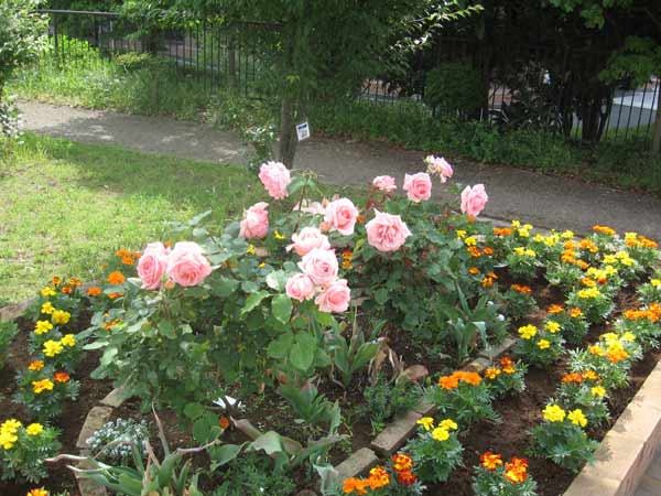 IMG_8725.jpg
