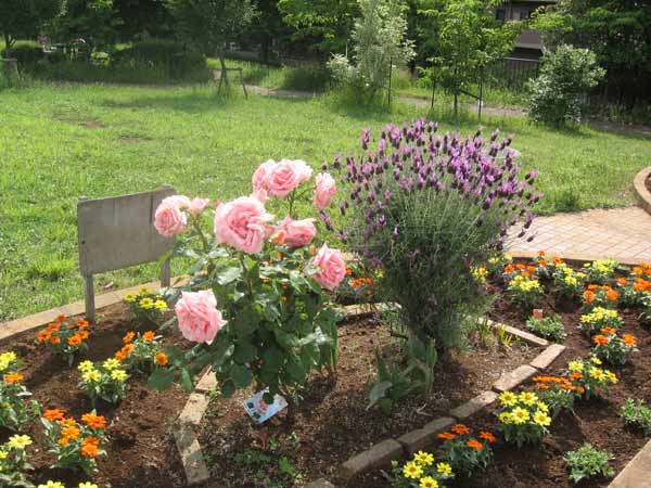 IMG_8728.jpg