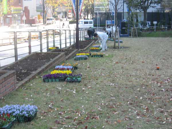 IMG_3743.jpg