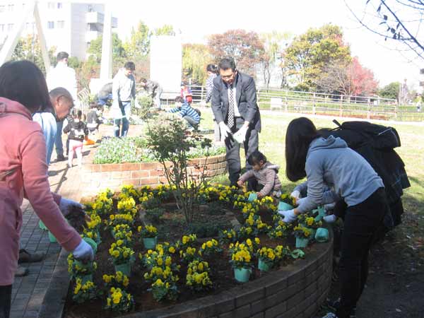 IMG_3782.jpg