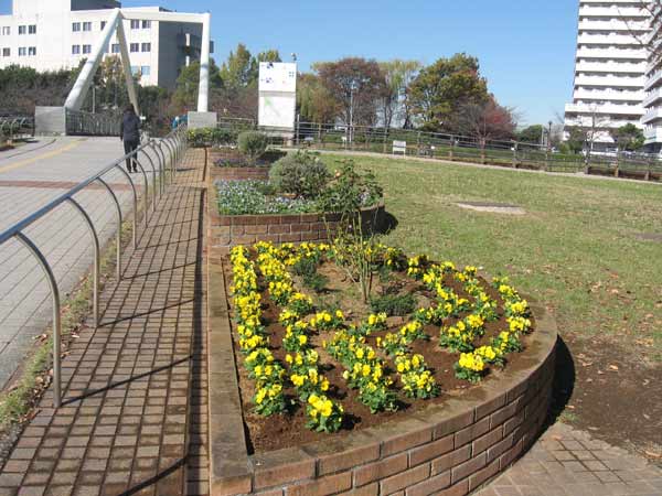IMG_3810.jpg