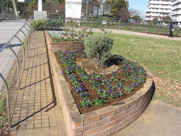 IMG_3812.jpg
