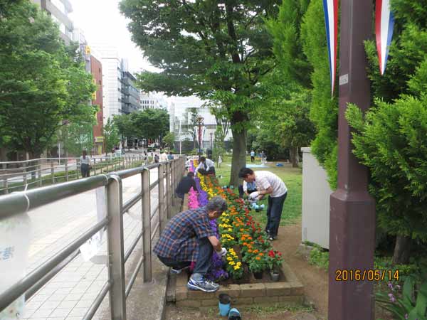 IMG_6777.jpg
