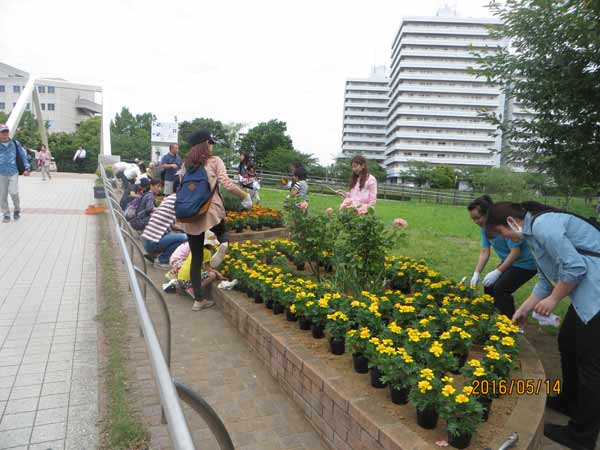 IMG_6778.jpg