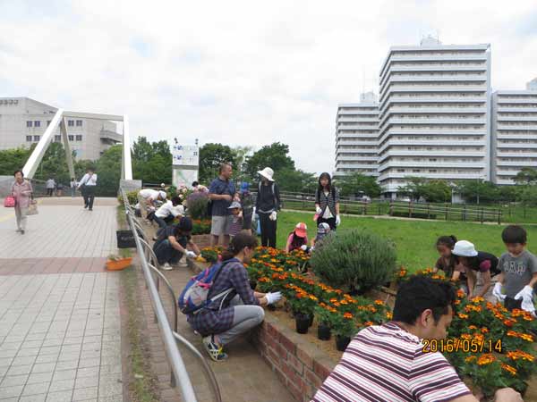IMG_6779.jpg