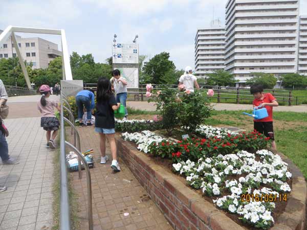 IMG_6800.jpg
