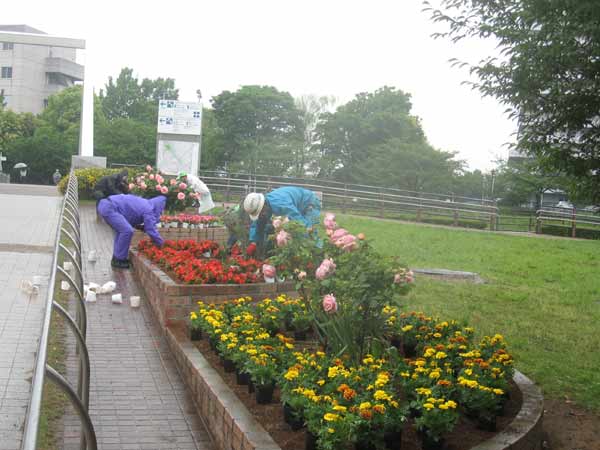 IMG_6617.jpg