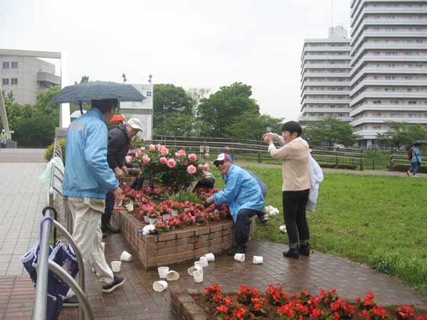 IMG_6639.jpg