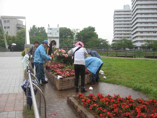 IMG_6642.jpg