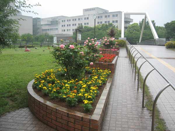 IMG_6664.jpg