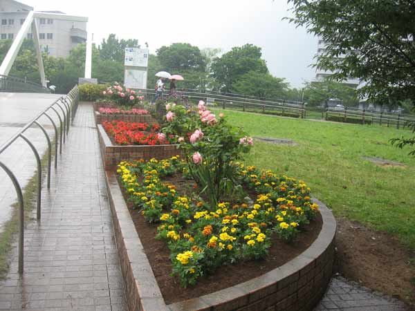 IMG_6669.jpg