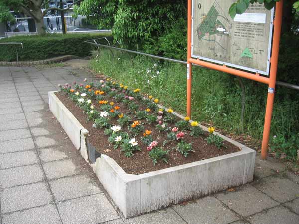 IMG_6728.jpg