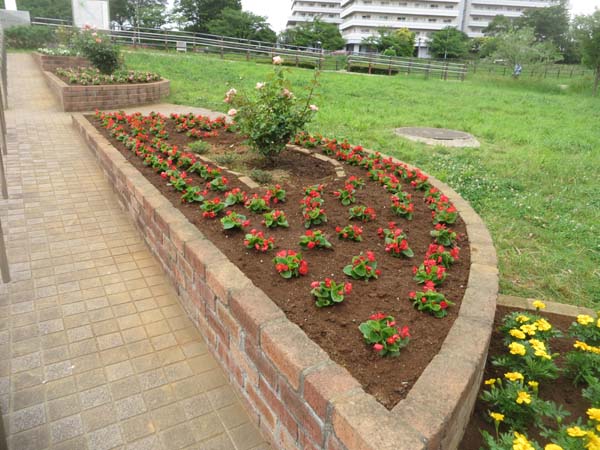 IMG_8999-1.jpg