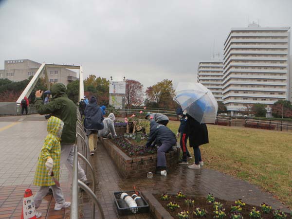 IMG_4867-1.jpg