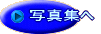 ʐ^W