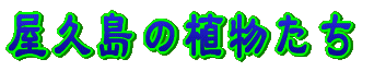 v̐A