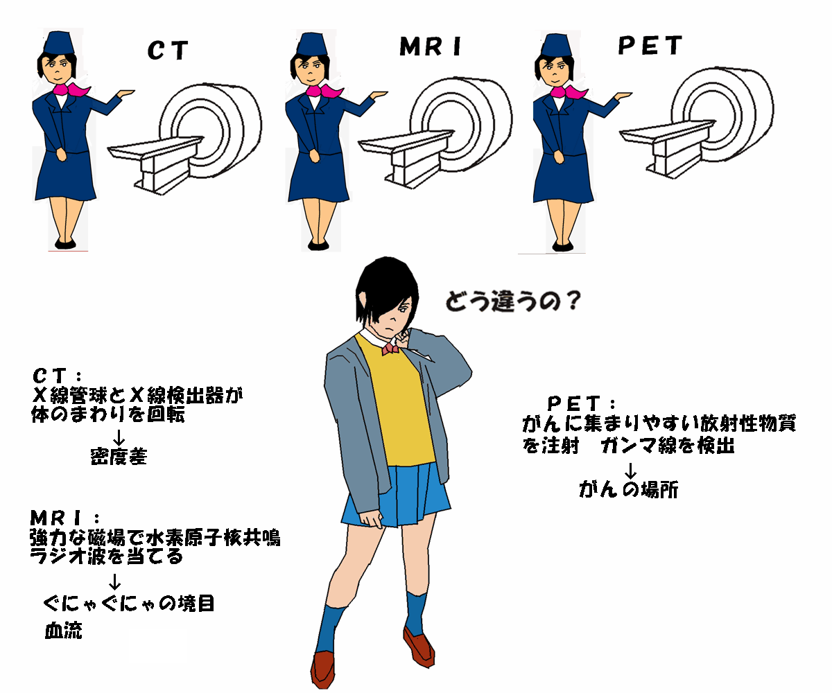 ちょっと分類 (NDCレファレンス 生物 医学)